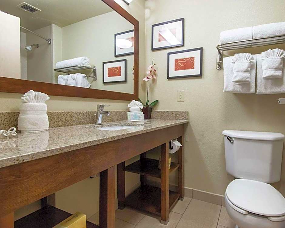 Comfort Suites Central/I-44