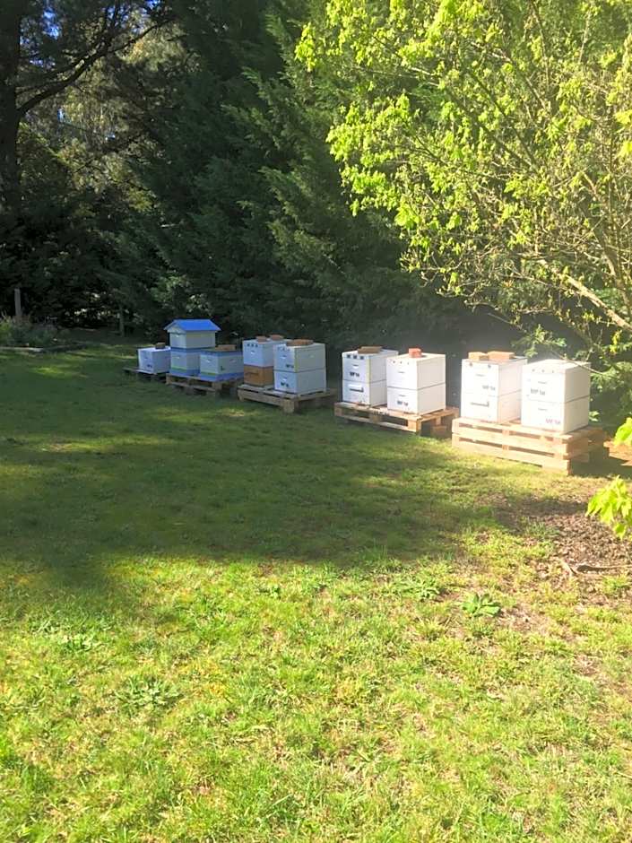 Sherwood Park bed and breakfast