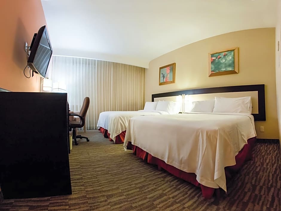 Excellence Express & Suites
