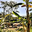 Pousada Vila Cintra
