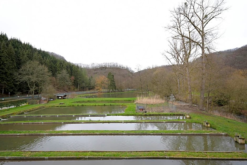 Zimmer ohne Frühstück in der Forellenzucht