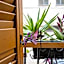 Geometric Art Home