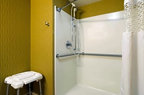 1 King Mobility/Hearing Acc Ri Shower Nosmok