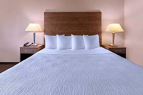 1 King Bed Mobility/Hearing Accessible Room Roll-In Shower Non-Smoking