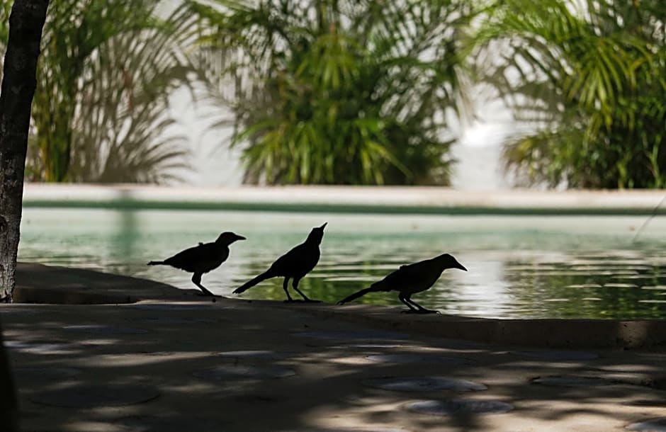 Niik Tulum