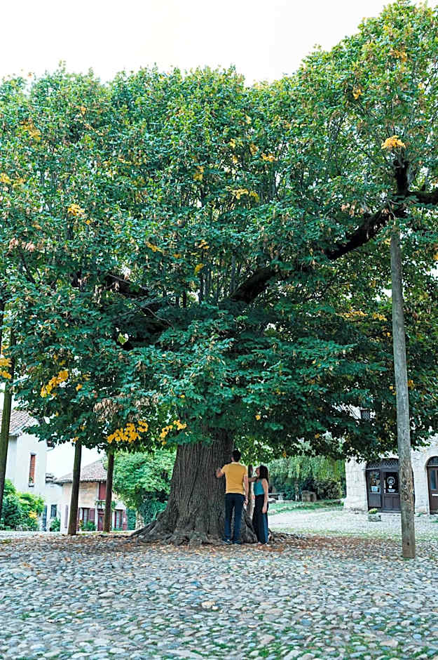 Hostellerie du Vieux Pérouges