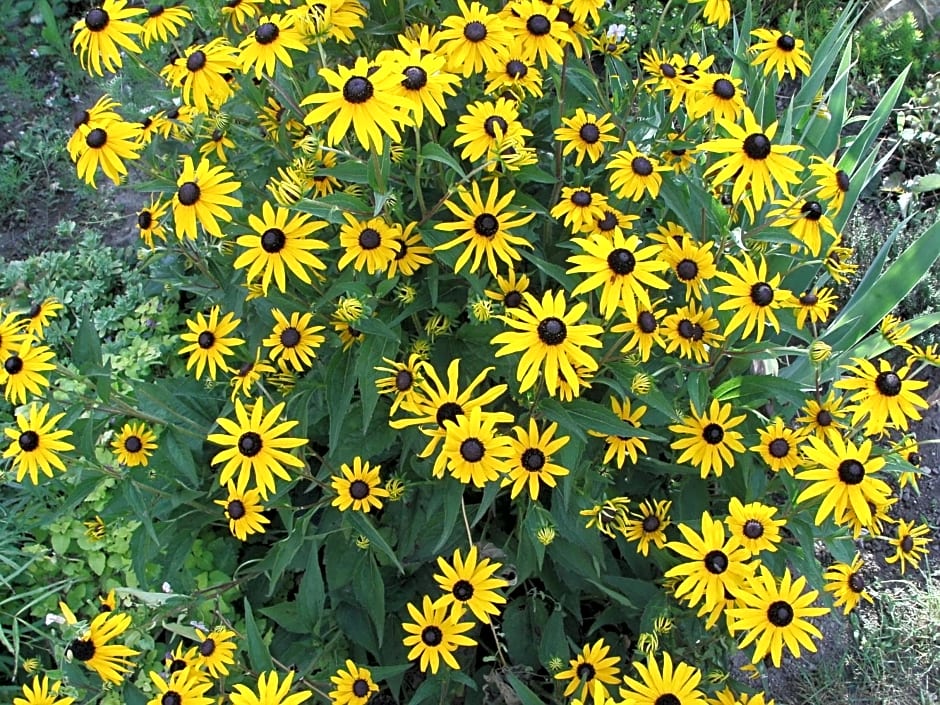 La Tourelle des Echelles