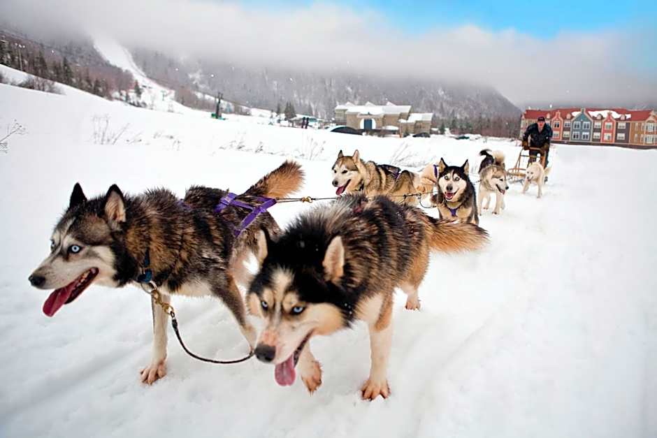 Deer Lake Horizon Hotel