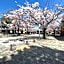 Rinn Gion Shirakawa