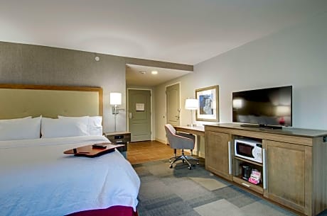 1 King Mobility/Hearing Acc Ri Shower Nosmok