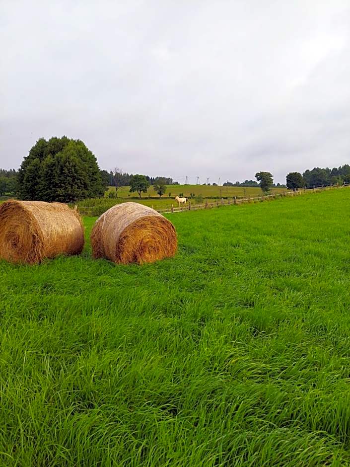 Sielski Spokój Dom z bali Apartamenty całoroczne