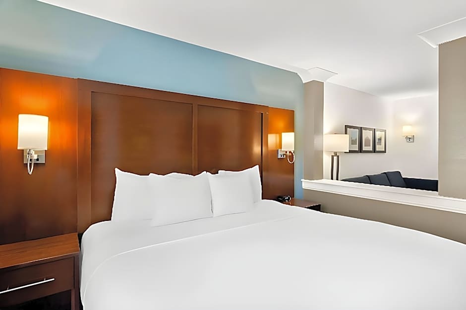 Comfort Suites Rensselaer near Fair Oaks