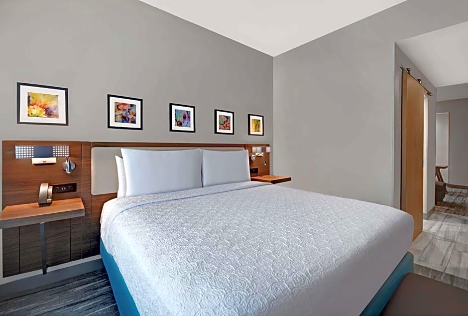 Hilton Garden Inn Houston Medical Center, TX