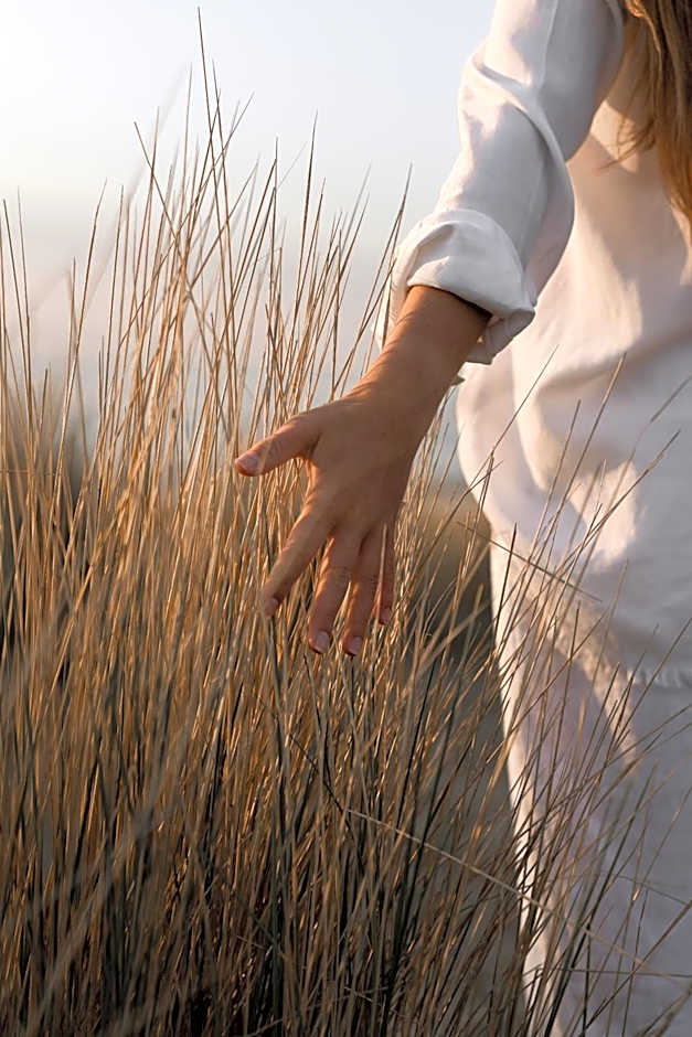 Noordzee, Hotel & Spa