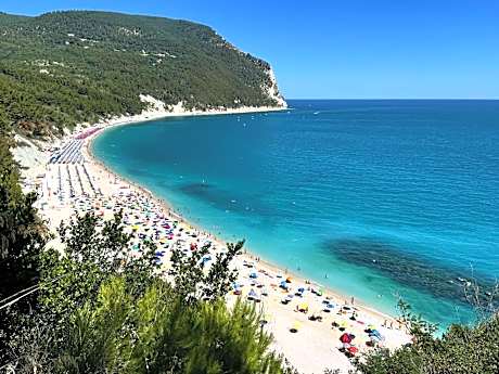Affittacamere Villa Zelinda