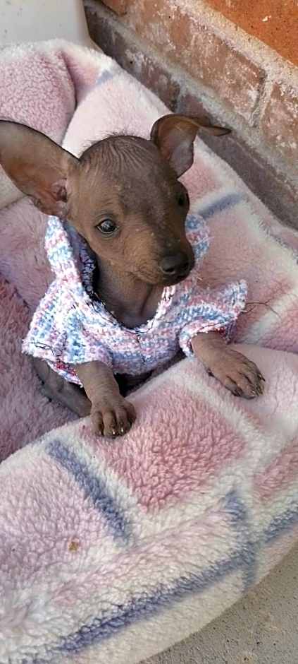 Hotel las carretas , spa y temazcal