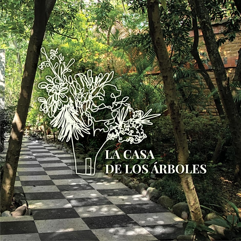 Hotel La Casa de los Árboles Immersive Experience