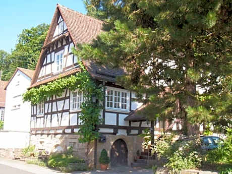 Pfaelzerleben Palatinate experience