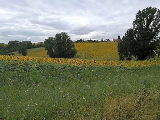 Domaine de Cayre