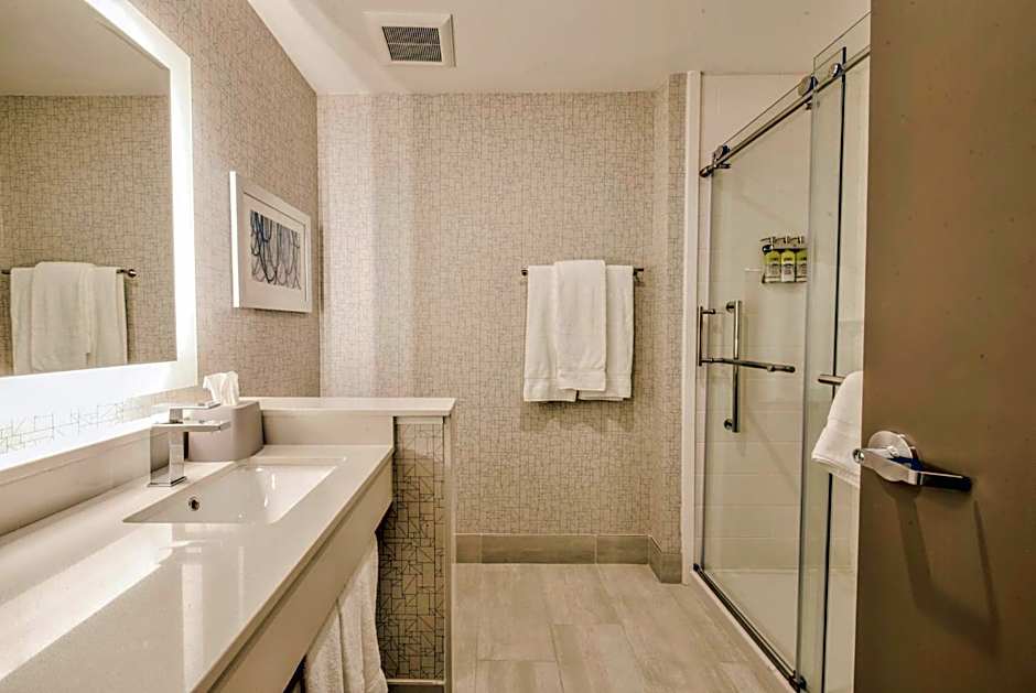 Holiday Inn Express & Suites Dallas NW - Farmers Branch By IHG