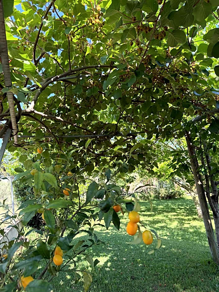 A Casa di nonna Emilia