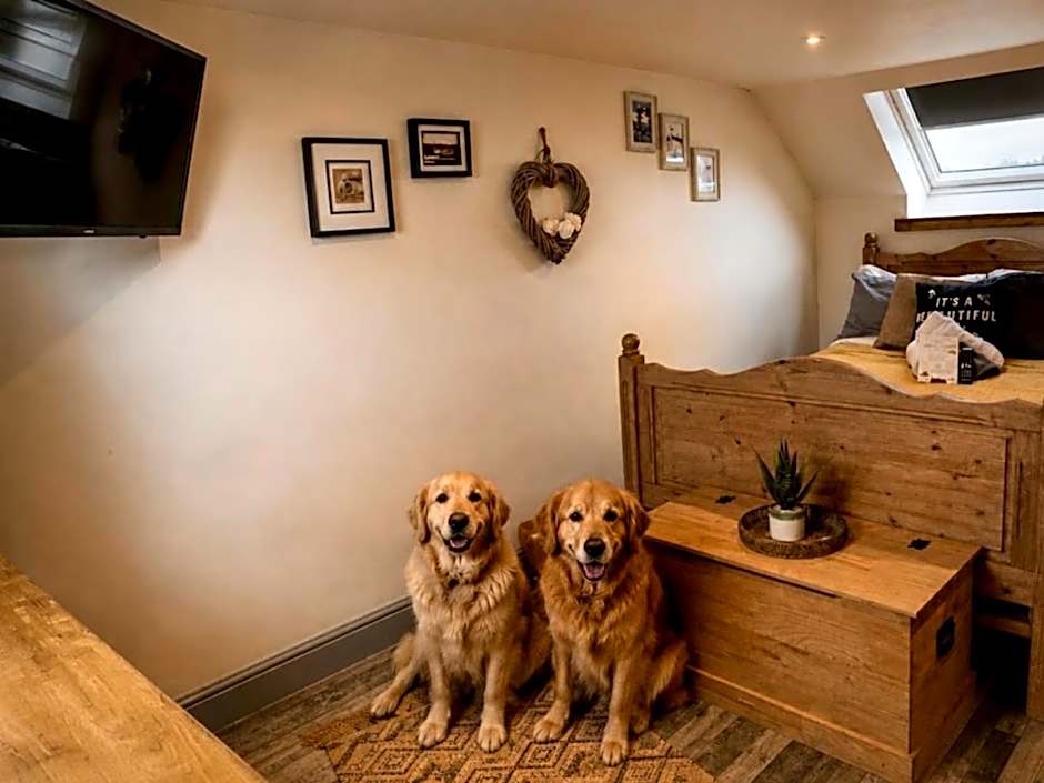 Norfolk Farm Stays by Beach Dog Friendly
