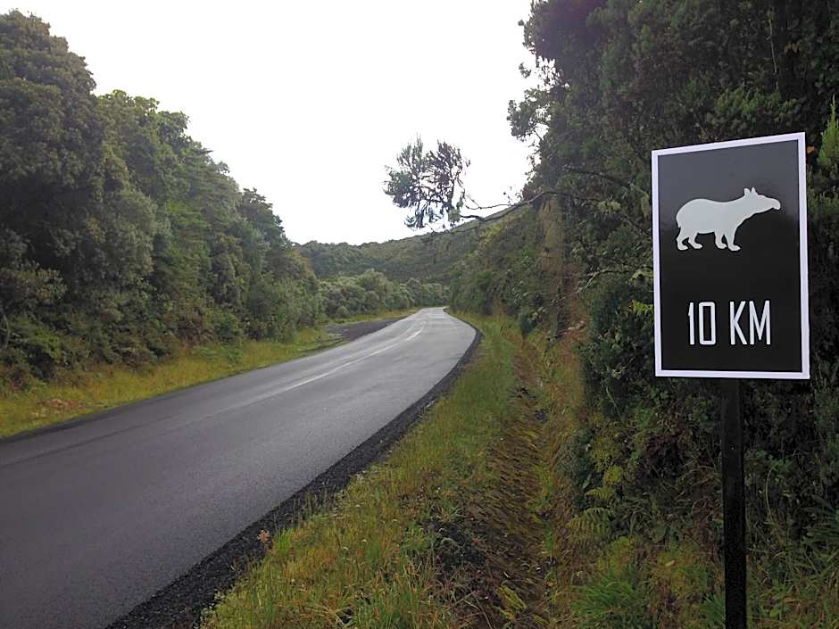 Dantica Cloud Forest Lodge