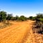 42@ Ditholo Game Lodge