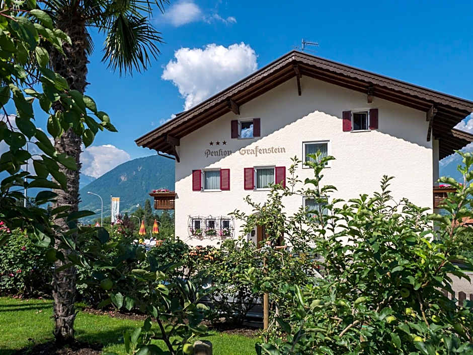 Guesthouse Pension Grafenstein