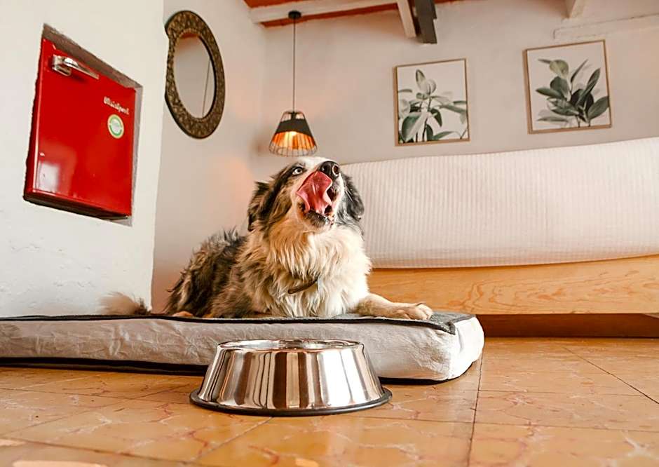 Petit Mesón (Pet Friendly Hotel)