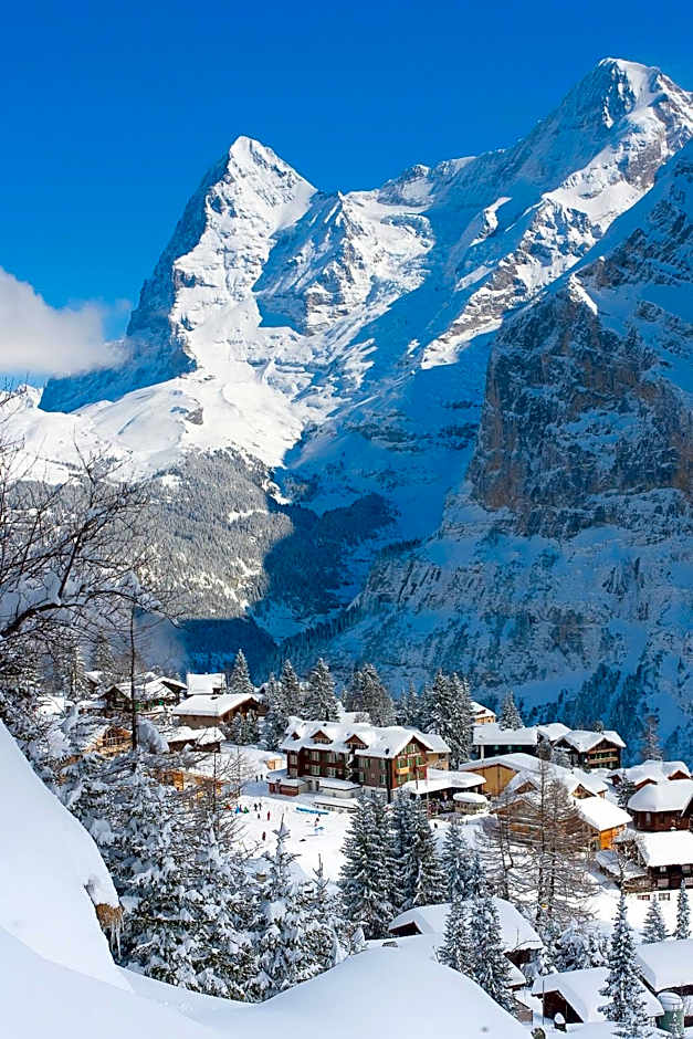 Hotel Jungfrau Mürren