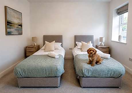 Deluxe Twin Pet-Friendly Room