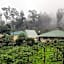 Ibex Resorts, Valparai Mistly