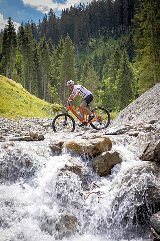 Berghotel Hochfügen