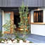 HOTEL JIDAI