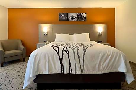 1 King Bed Suite Nonsmoking