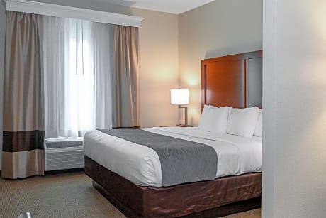 1 King Bed, Nonsmoking, Accessible