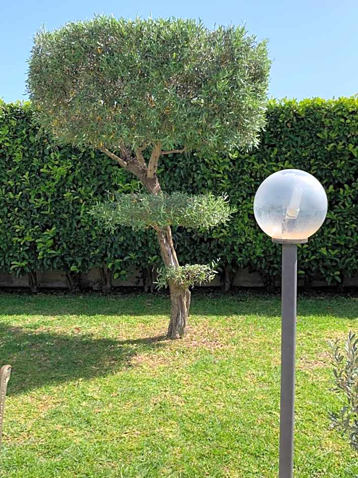 Affitta camere Vittoria House