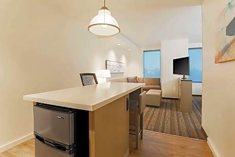 King Studio Suite with Kitchen and Sofa Bed