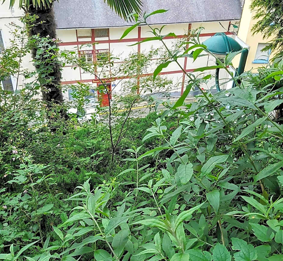 Chambres Au Berceau de Bernadette