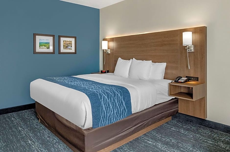 Comfort Inn & Suites Troutville - Roanoke North / Daleville