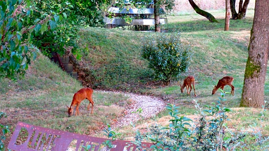 D'une Autre Nature