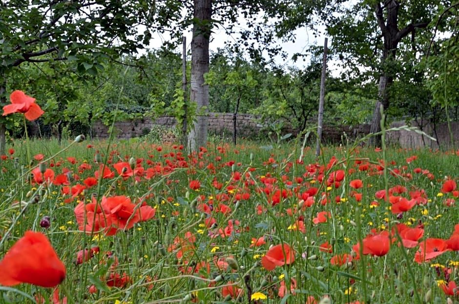 Il Giardino del Sole