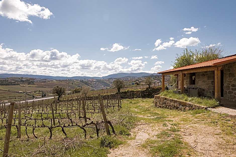 Quinta da Portela - Casa Visconde Arneiros - by RowdHouses