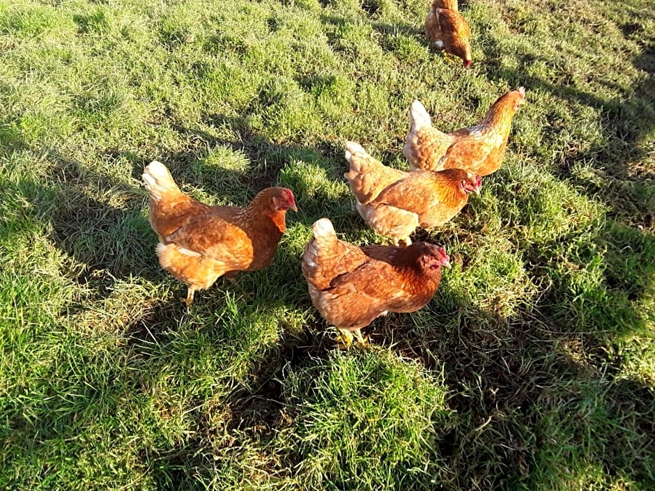 Sharlands Farm Bed and Breakfast