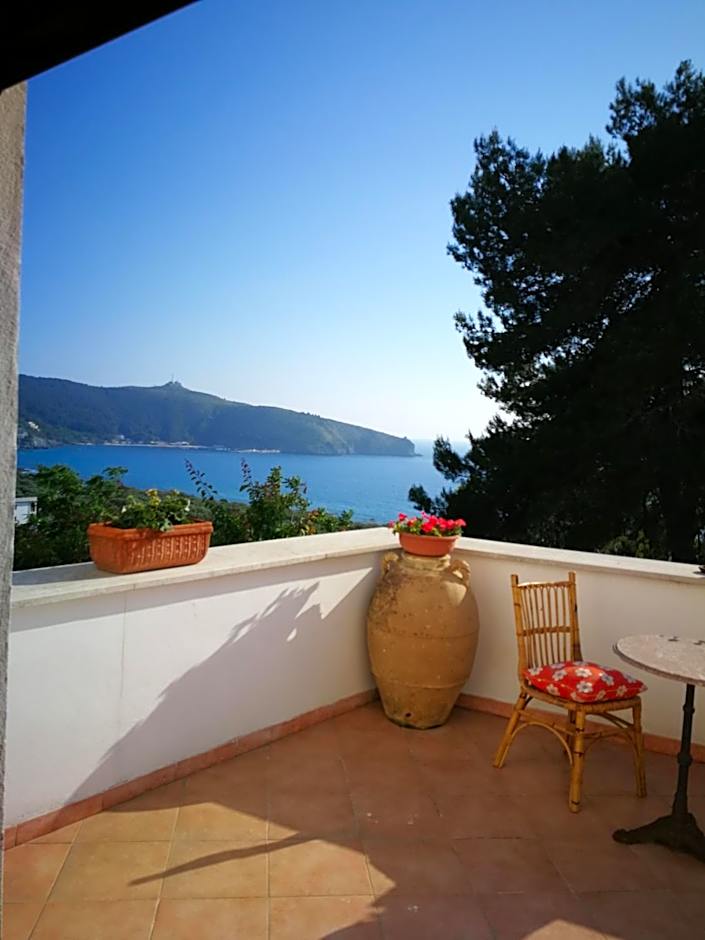 Il Sogno di Vincenzo e Maria