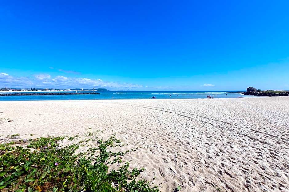 Princess Palm on the Beach