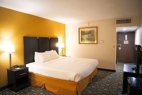 1 King Bed Non-Smoking