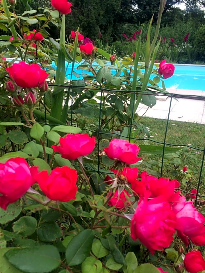 Les Luz - Chambres d'hôtes