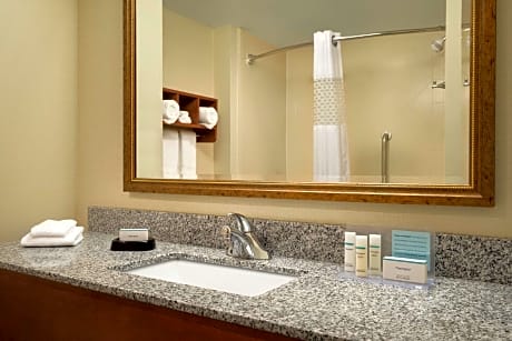1 King Mobility/Hearing Access W/Tub Nonsmok